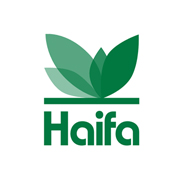 Haifa